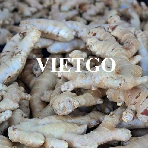Cơ hội hợp tác xuất khẩu gừng sang thị trường Bangladesh