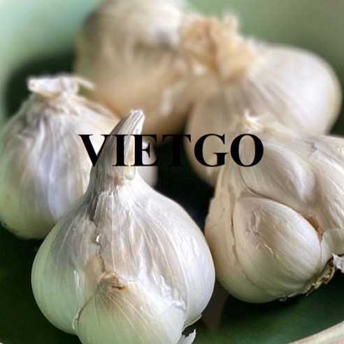 Cơ hội hợp tác xuất khẩu tỏi trắng sang thị trường Bangladesh