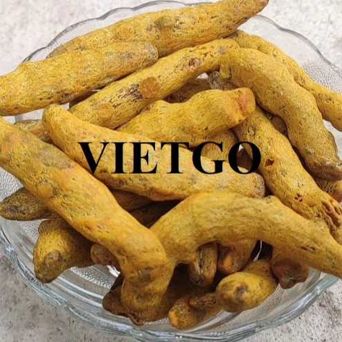 Cơ hội xuất khẩu nghệ sang thị trường UAE