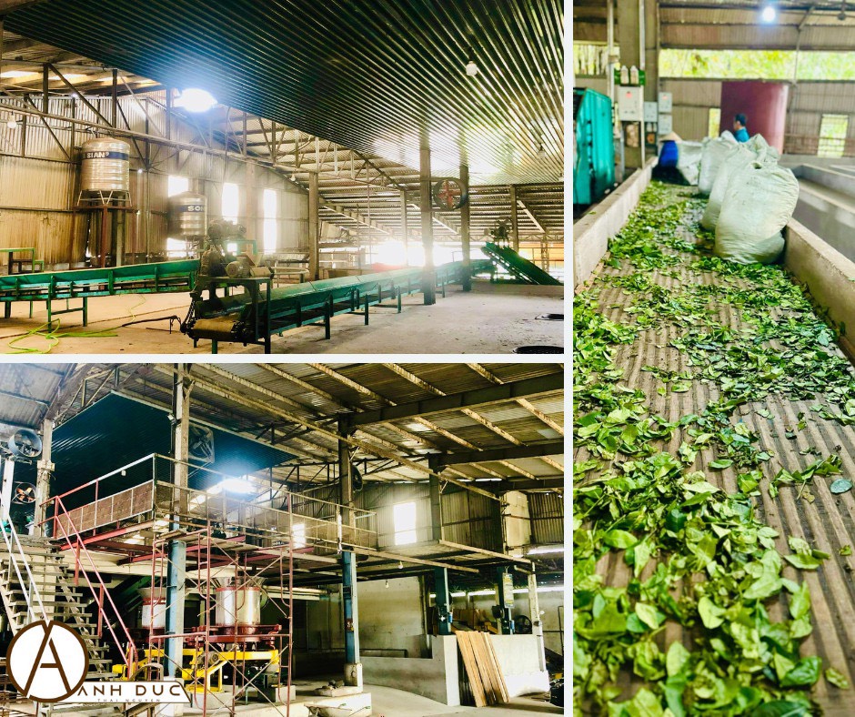 Cần tìm cước biển cho hàng chè đi Iran