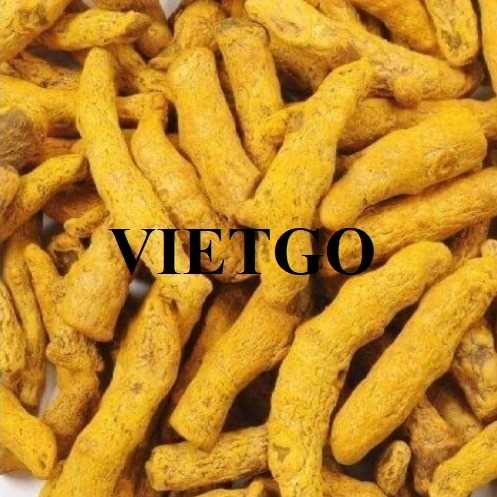 Cơ hội xuất khẩu nghệ khô sang thị trường Bangladesh