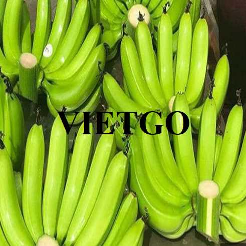 Cơ hội hợp tác xuất khẩu chuối cùng vị khách hàng đến từ Thổ Nhĩ Kỳ 