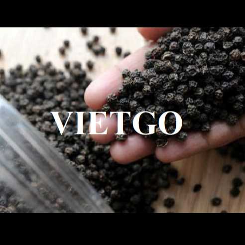 Cơ hội hợp tác xuất khẩu hạt tiêu đen sang thị trường Colombia