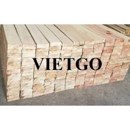 Thương vụ xuất khẩu gỗ bạch đàn xẻ sang thị trường Úc