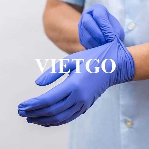 Cơ hội hợp tác xuất khẩu sản phẩm găng tay y tế sang thị trường Hoa Kỳ 