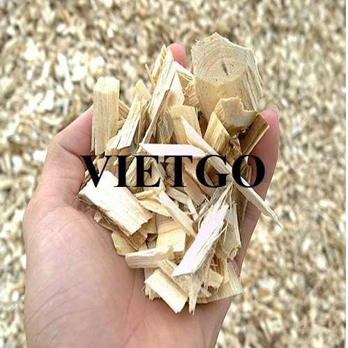 Thương vụ xuất khẩu gỗ vụn sang thị trường UAE