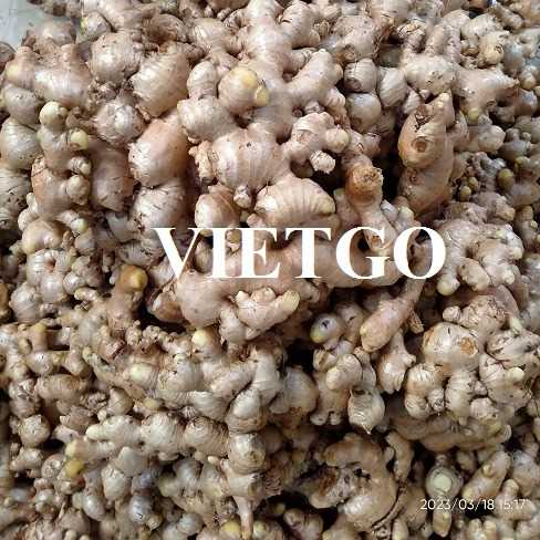 Cơ hội xuất khẩu gừng đến thị trường Bangladesh