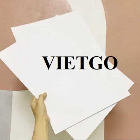 Thương vụ xuất khẩu giấy A4 đến thị trường Thổ Nhĩ Kỳ