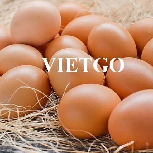 Thương vụ xuất khẩu trứng sang thị trường Campuchia