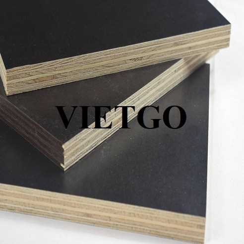 Thương vụ xuất khẩu gỗ dán sang thị trường Ấn Độ