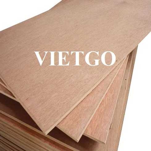 Thương vụ xuất khẩu sản phẩm gỗ dán sang thị trường Ấn Độ
