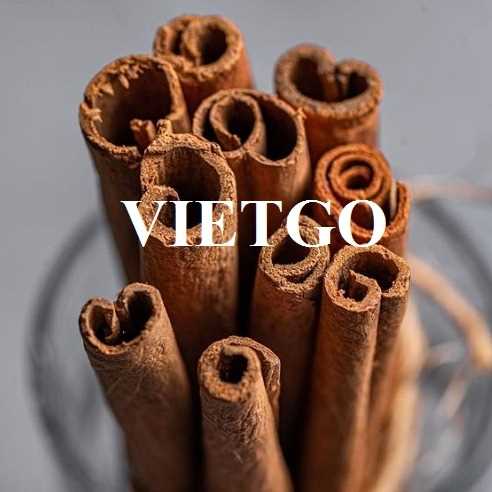Cơ hội hợp tác xuất khẩu sản phẩm quế ống sáo và quế chẻ sang thị trường Ấn Độ