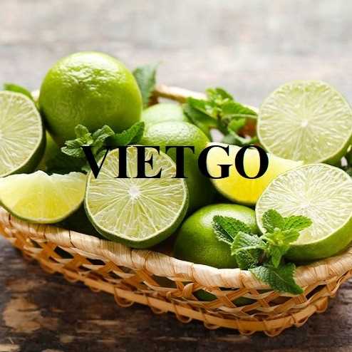 Thương vụ hợp tác xuất khẩu chanh xanh không hạt đến thị trường Anh