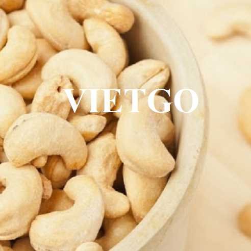 Cơ hội hợp tác xuất khẩu hạt điều đến thị trường Ai Cập