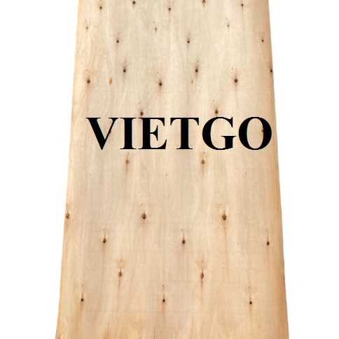 Thương vụ xuất khẩu ván bóc sang thị trường Georgia