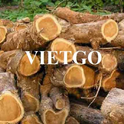 Thương vụ xuất khẩu gỗ teak tròn sang thị trường Ấn Độ