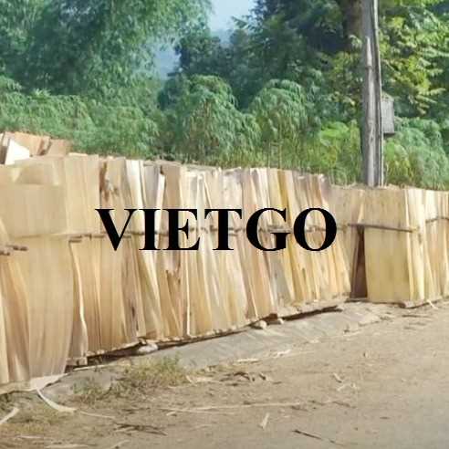Thương vụ xuất khẩu ván bóc sang thị trường Ấn Độ