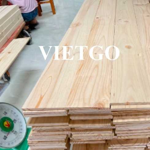 Thương vụ xuất khẩu gỗ bạch đàn xẻ sang thị trường Ấn Độ