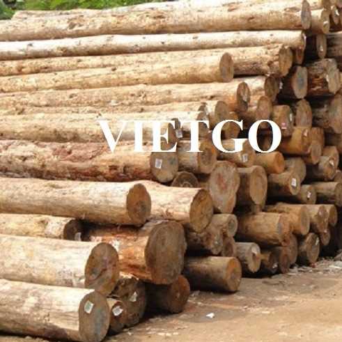 Thương vụ xuất khẩu gỗ thông tròn sang thị trường Ấn Độ
