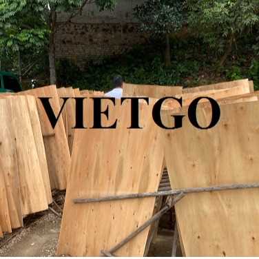 Thương vụ xuất khẩu sản phẩm ván bóc đến thị trường Ấn Độ