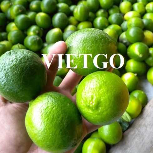 Cơ hội xuất khẩu chanh sang thị trường Oman