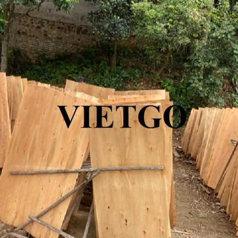 Thương vụ xuất khẩu sản phẩm ván bóc đến thị trường Hồng Kông