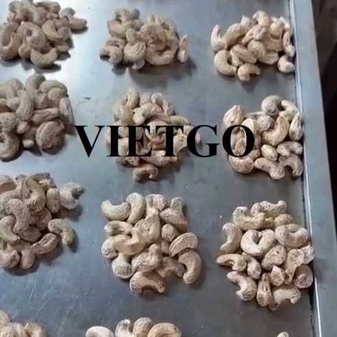 Cơ hội hợp tác xuất khẩu sản phẩm hạt điều thô cỡ 180 và 240 sang thị trường Trung Quốc