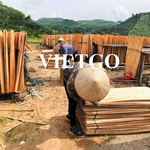 Thương vụ xuất khẩu ván bóc đến thị trường Ấn Độ