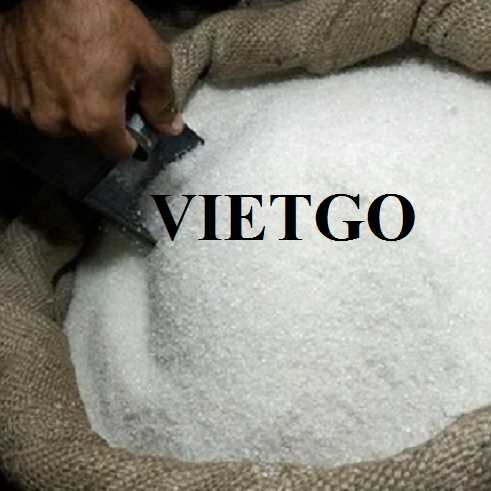 Cơ hội hợp tác xuất khẩu đường đến thị trường Oman