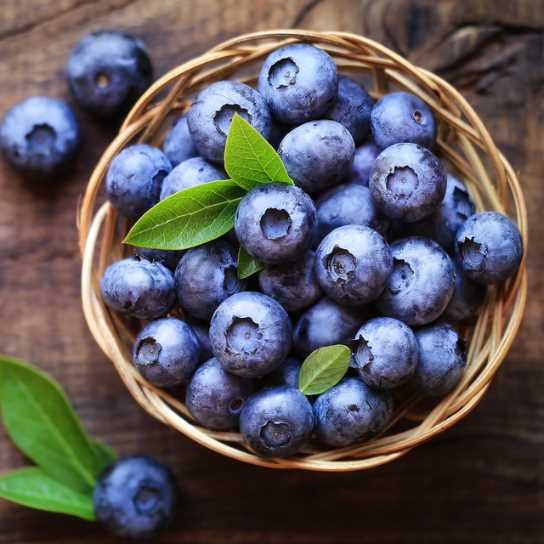 I AM LOOKING FOR BLUEBERRIES