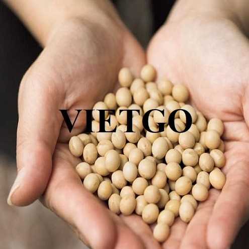 Thương vụ hợp tác xuất khẩu đậu nành sang thị trường Yemen