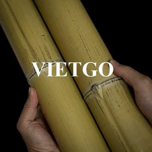 Cơ hội giao thương xuất khẩu gậy tre sang thị trường Ấn Độ
