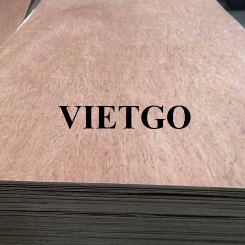 Thương vụ xuất khẩu sản phẩm gỗ dán đến thị trường Ấn Độ