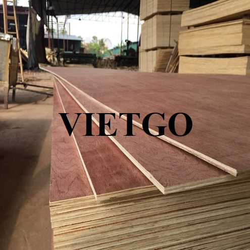 Thương vụ xuất khẩu gỗ dán bao bì sang thị trường Ấn Độ