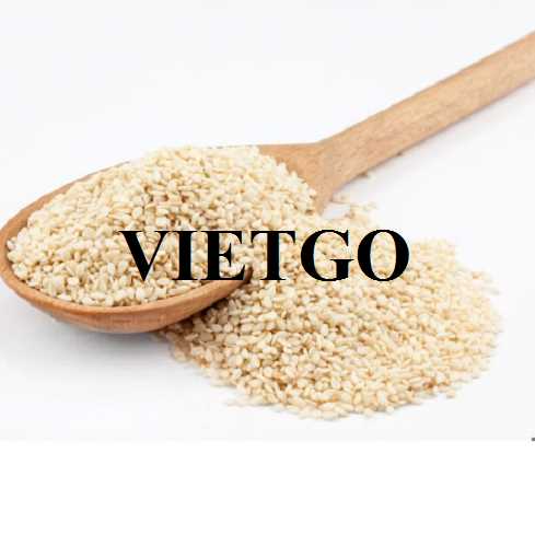 Cơ hội hợp tác xuất khẩu hạt mè đến thị trường Thổ Nhĩ Kỳ