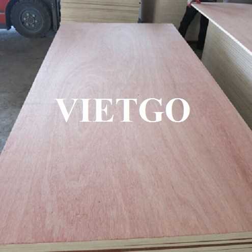 Thương vụ xuất khẩu gỗ dán sang thị trường Ấn Độ