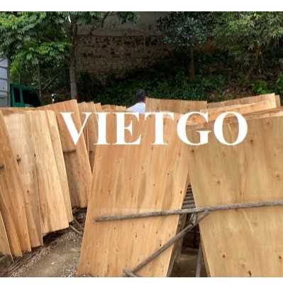 Thương vụ xuất khẩu sản phẩm ván bóc đến thị trường Mỹ và Brazil