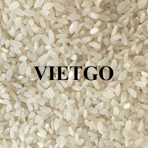 Thương vụ hợp tác xuất khẩu gạo vỡ sang thị trường Ả-rập Xê-út