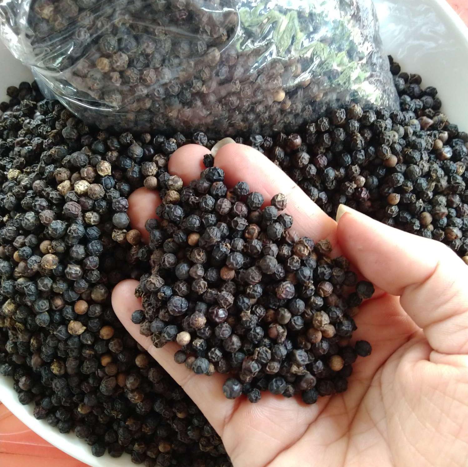 Cần tìm FWD báo giá cước