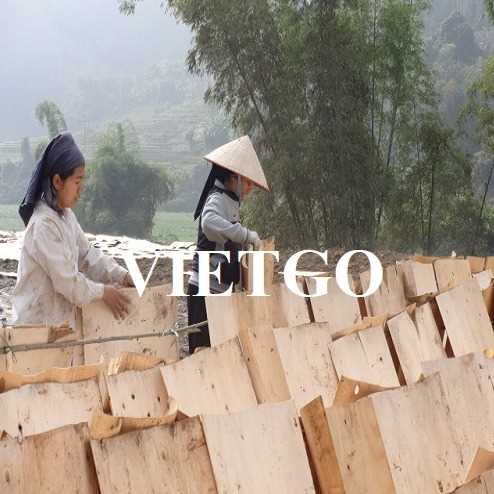 Thương vụ xuất khẩu ván bóc sang thị trường Malaysia và Đài Loan