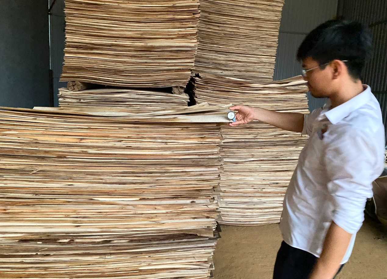 Tìm Fwd tuyến Hải Phòng - Mundra và Hải Phòng - Chennai, Hải Phòng - Hazira