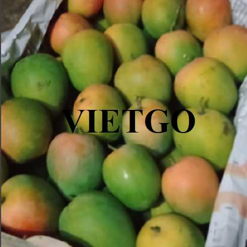 Cơ hội hợp tác xuất khẩu xoài Úc đến thị trường Ả Rập Xê Út