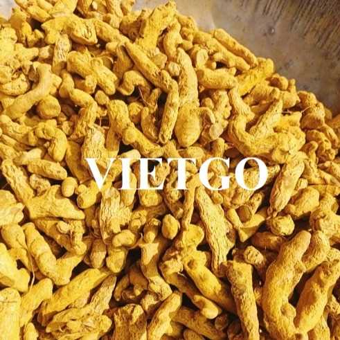 Thương vụ xuất khẩu nghệ sang thị trường Ấn Độ