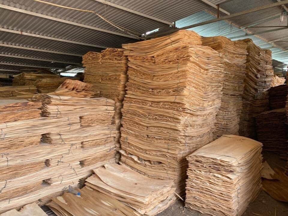 Cần tìm fwd tuyến Hải Phòng xuất đơn hàng ván bóc số lượng lớn sang Ấn Độ
