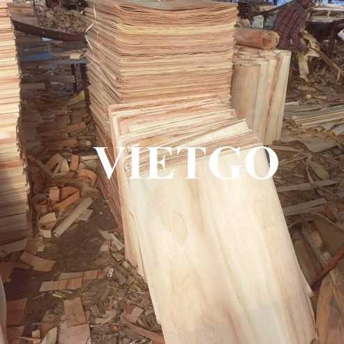 Thương vụ xuất khẩu ván bóc sang thị trường Ai Cập