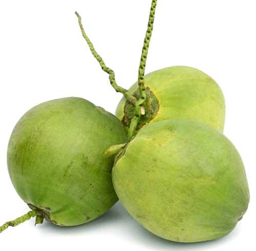 Cần tìm nhà vận chuyển dừa tươi gọt vỏ đến cảng Quảng Châu