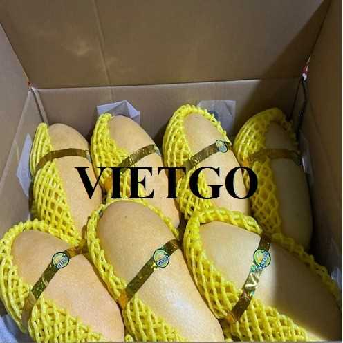 Thương vụ hợp tác xuất khẩu xoài sang thị trường Hàn Quốc 