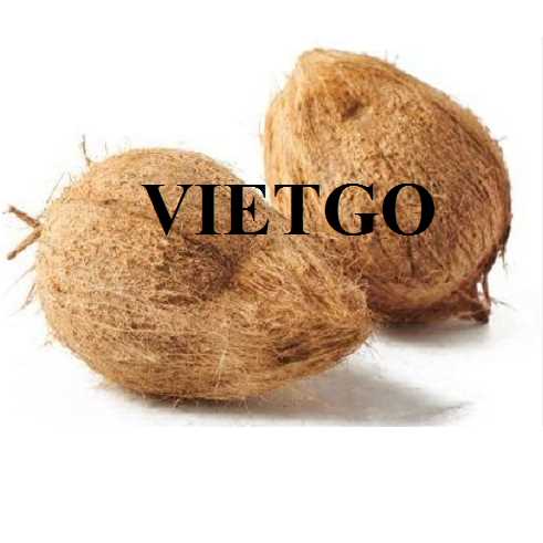 Cơ hội hợp tác xuất khẩu dừa khô gọt vỏ đến thị trường UAE