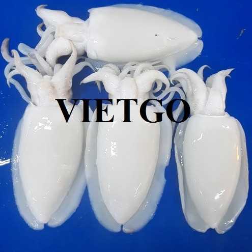 Cơ hội xuất khẩu mực nang sang thị trường Hàn Quốc
