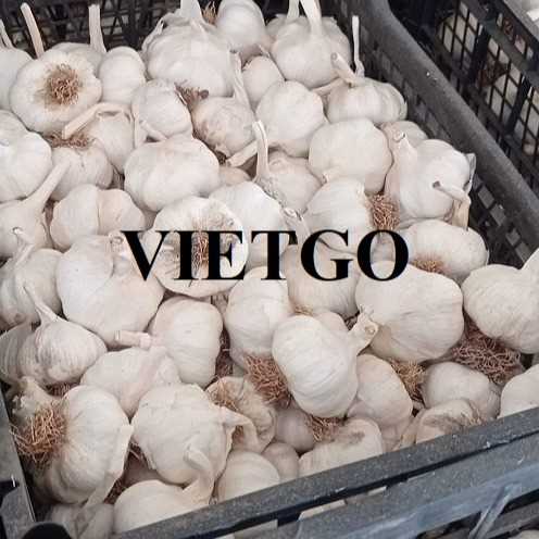 Cơ hội xuất khẩu tỏi sang thị trường Indonesia